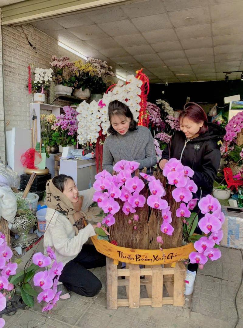 hoa tuoi thanh thao chuyen cung cap lan ho diep tet